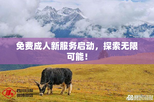 免费成人新服务启动，探索无限可能！
