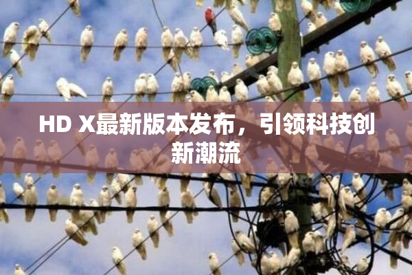 HD X最新版本发布，引领科技创新潮流