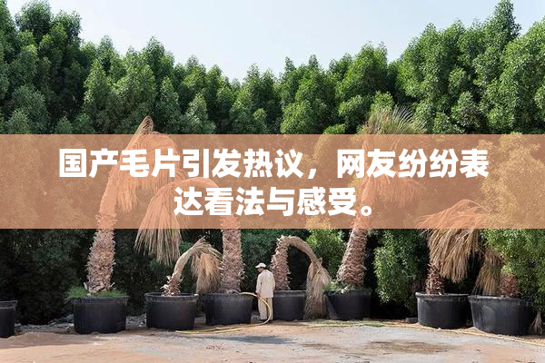 国产毛片引发热议，网友纷纷表达看法与感受。
