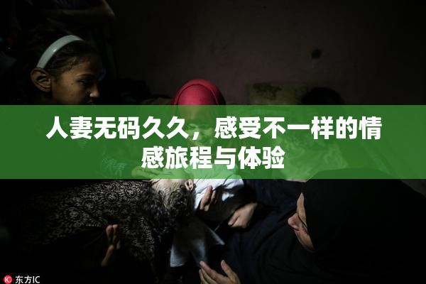人妻无码久久，感受不一样的情感旅程与体验