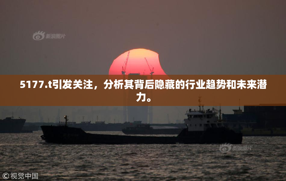 5177.t引发关注，分析其背后隐藏的行业趋势和未来潜力。