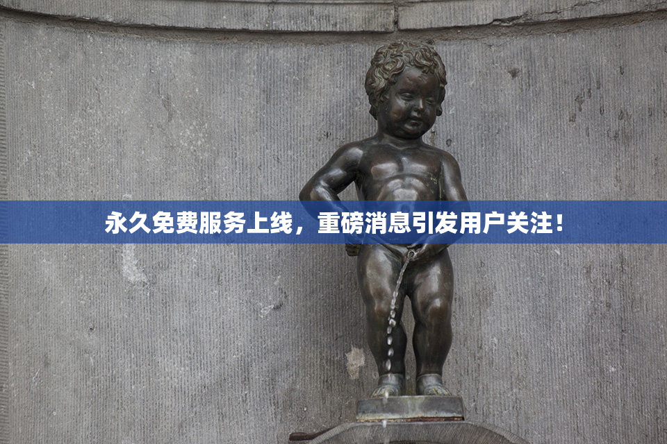 永久免费服务上线，重磅消息引发用户关注！