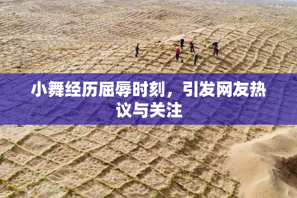 小舞经历屈辱时刻，引发网友热议与关注