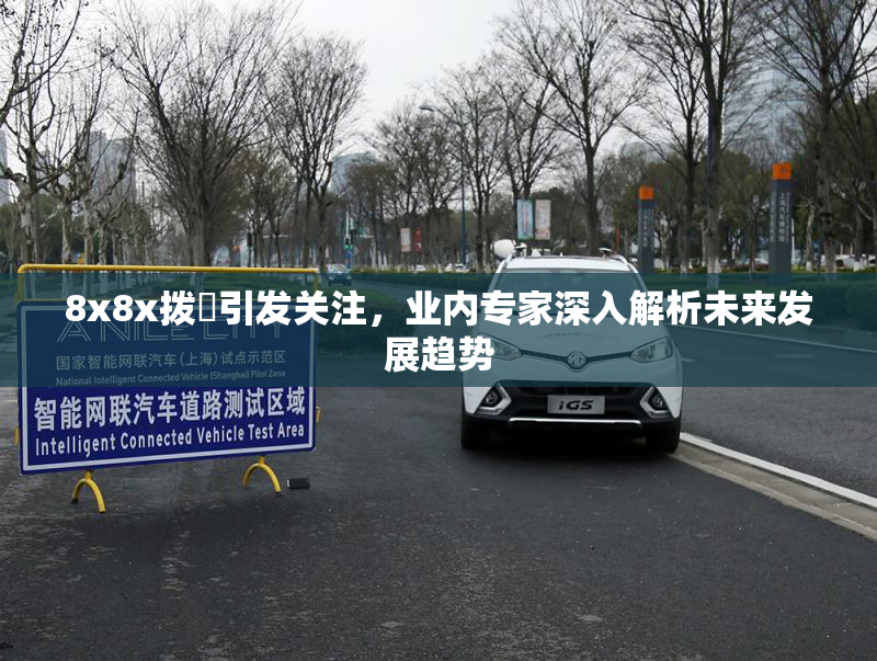 8x8x拨牐引发关注，业内专家深入解析未来发展趋势