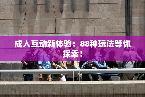 成人互动新体验：88种玩法等你探索！