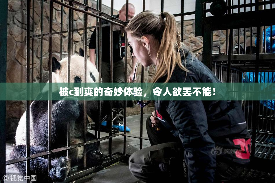 被c到爽的奇妙体验，令人欲罢不能！