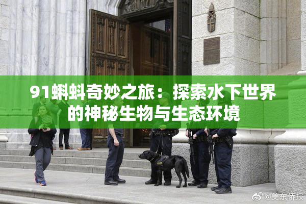91蝌蚪奇妙之旅：探索水下世界的神秘生物与生态环境