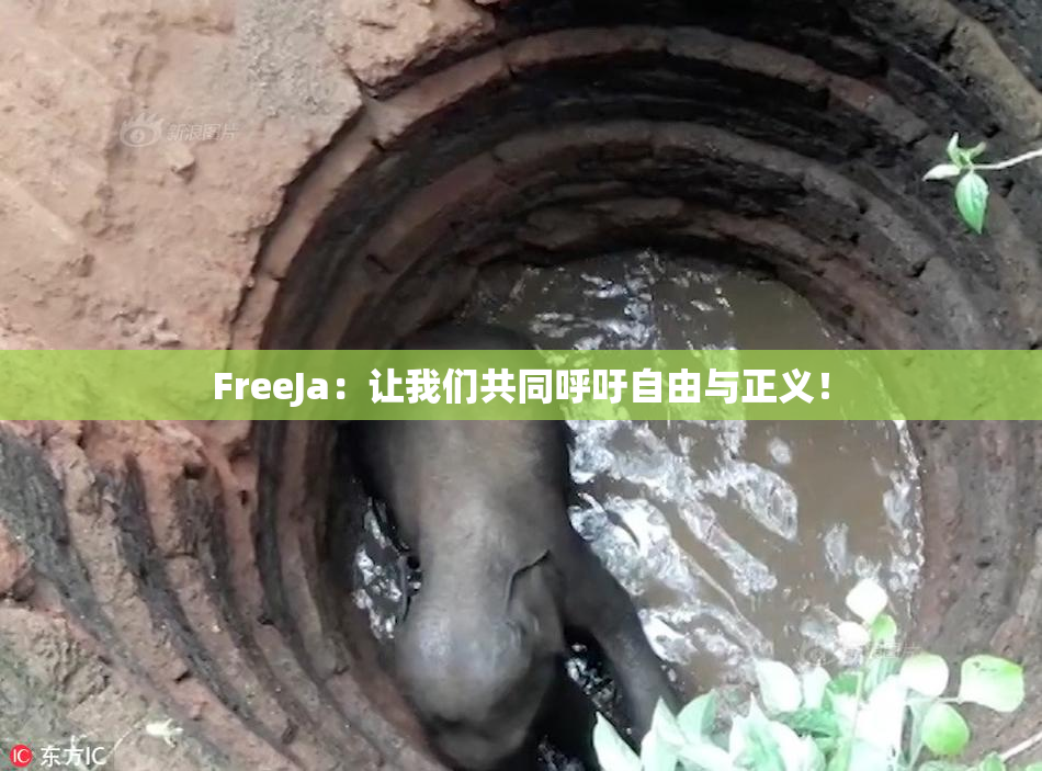 FreeJa：让我们共同呼吁自由与正义！