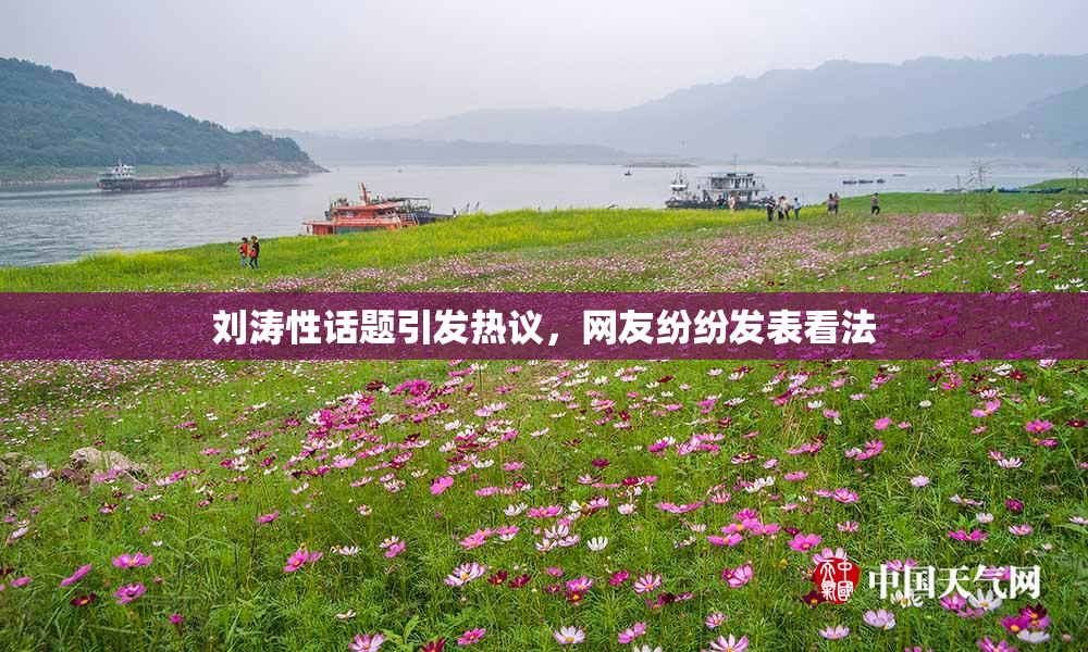 刘涛性话题引发热议，网友纷纷发表看法