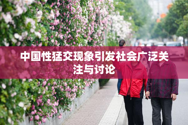 中国性猛交现象引发社会广泛关注与讨论