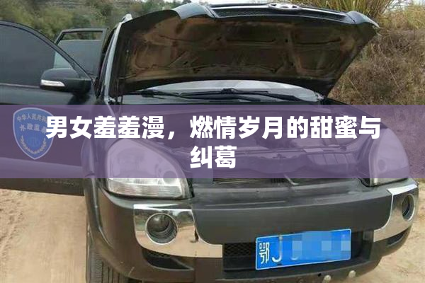 男女羞羞漫，燃情岁月的甜蜜与纠葛