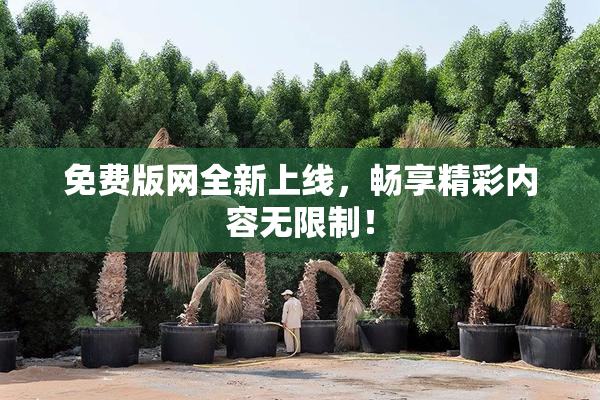 免费版网全新上线，畅享精彩内容无限制！