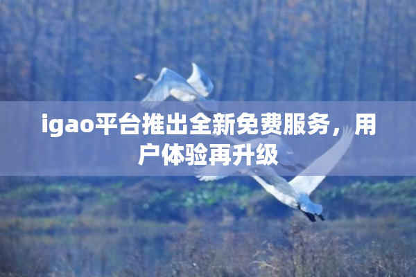 igao平台推出全新免费服务，用户体验再升级