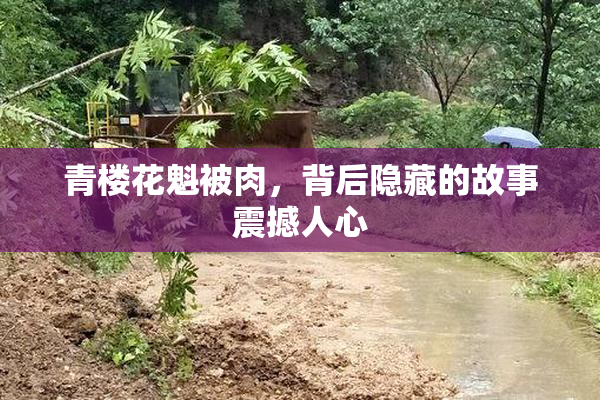 青楼花魁被肉，背后隐藏的故事震撼人心