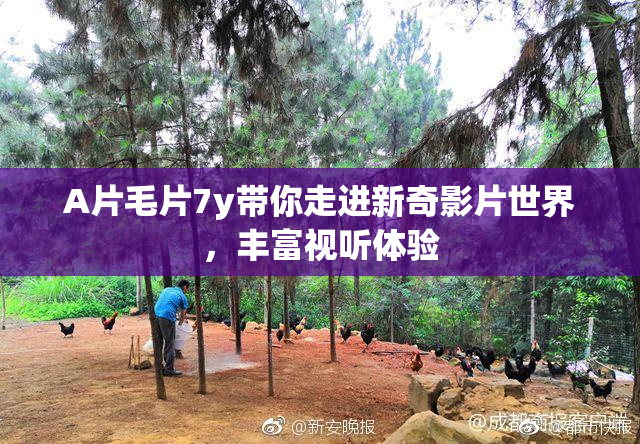 A片毛片7y带你走进新奇影片世界，丰富视听体验