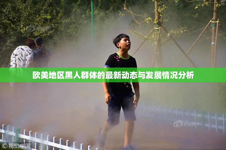 欧美地区黑人群体的最新动态与发展情况分析