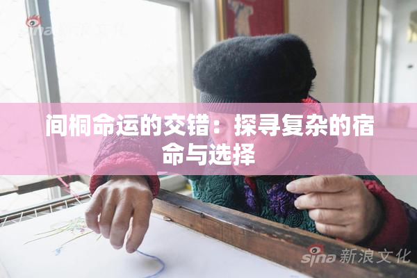 间桐命运的交错：探寻复杂的宿命与选择