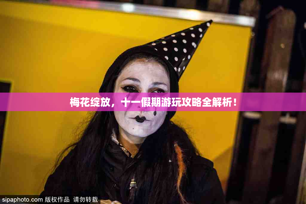 梅花绽放，十一假期游玩攻略全解析！