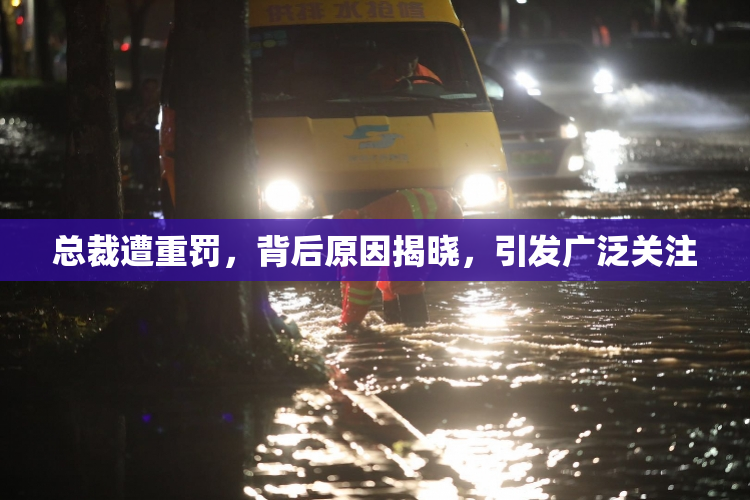 总裁遭重罚，背后原因揭晓，引发广泛关注