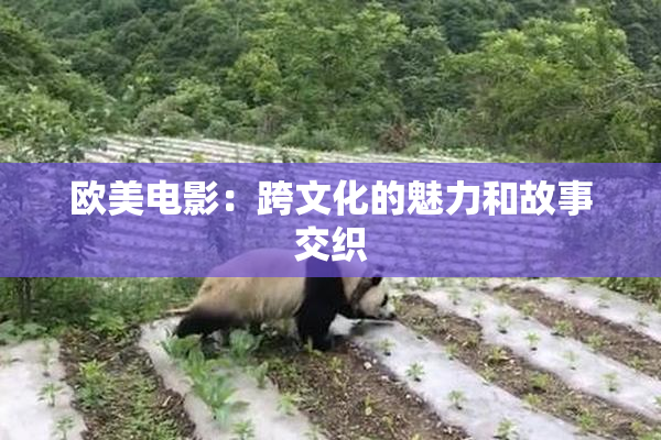欧美电影：跨文化的魅力和故事交织