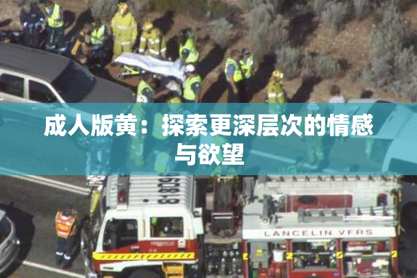 成人版黄：探索更深层次的情感与欲望