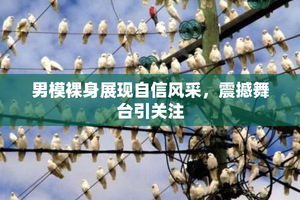 男模裸身展现自信风采，震撼舞台引关注