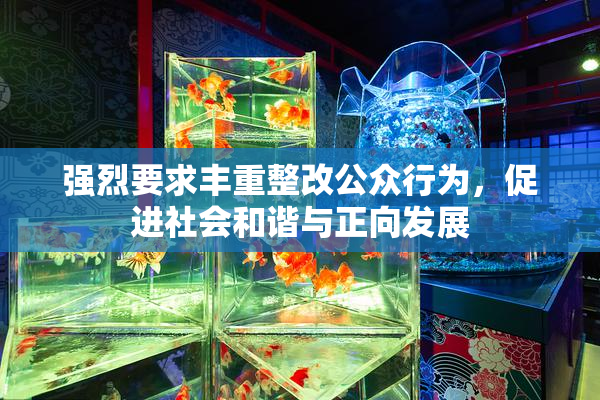 强烈要求丰重整改公众行为，促进社会和谐与正向发展