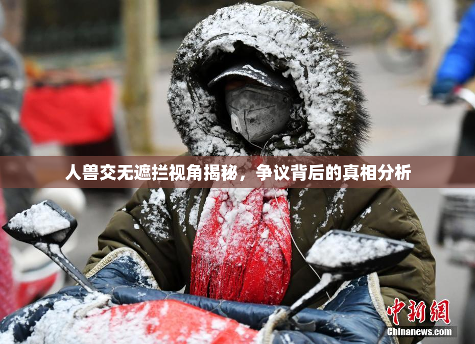 人兽交无遮拦视角揭秘，争议背后的真相分析