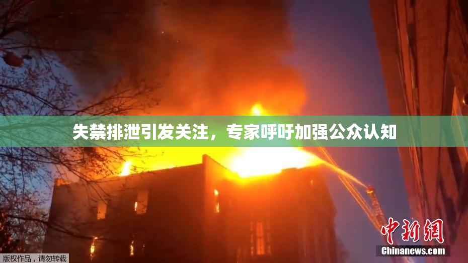 失禁排泄引发关注，专家呼吁加强公众认知