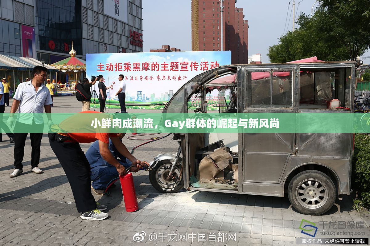 小鲜肉成潮流，Gay群体的崛起与新风尚