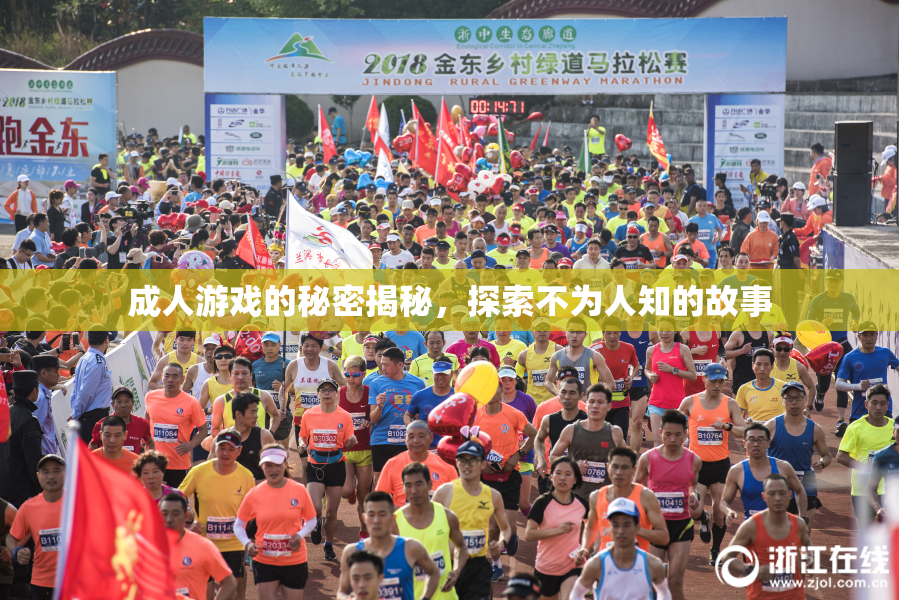 成人游戏的秘密揭秘，探索不为人知的故事