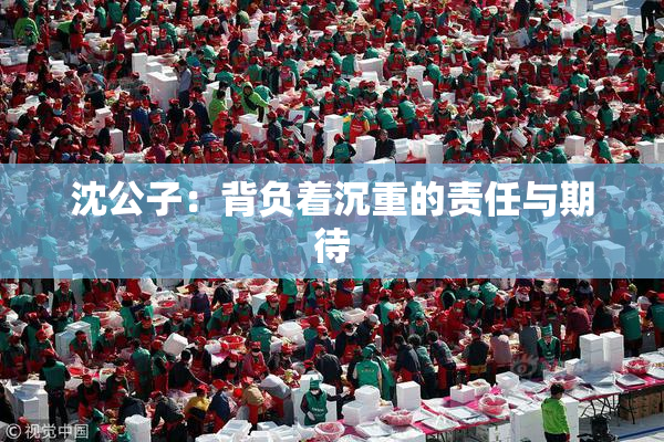 沈公子：背负着沉重的责任与期待
