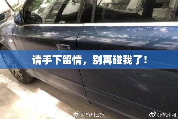 请手下留情，别再碰我了！