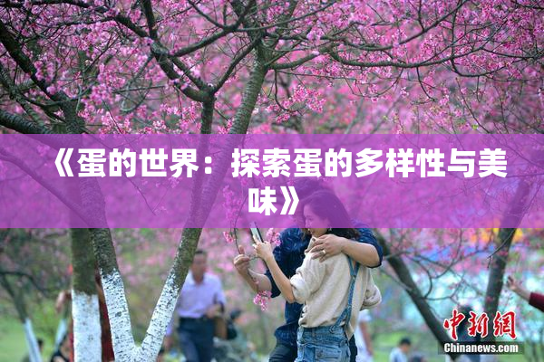 《蛋的世界：探索蛋的多样性与美味》