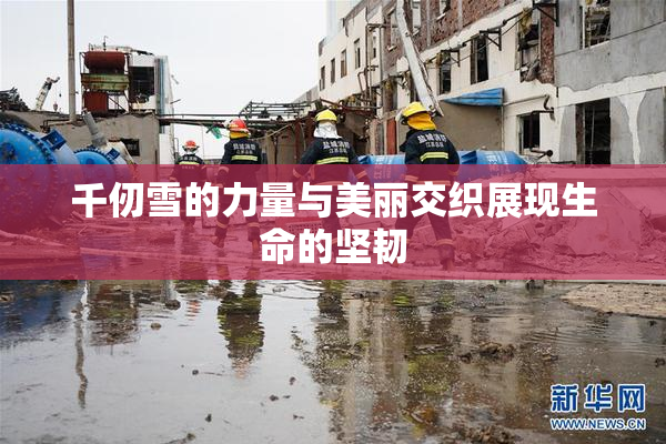 千仞雪的力量与美丽交织展现生命的坚韧