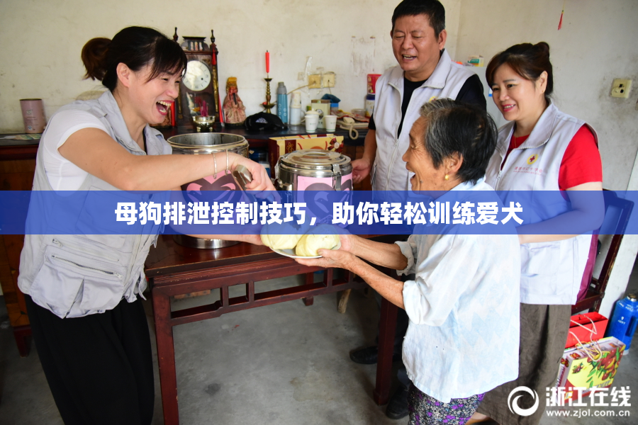 母狗排泄控制技巧，助你轻松训练爱犬
