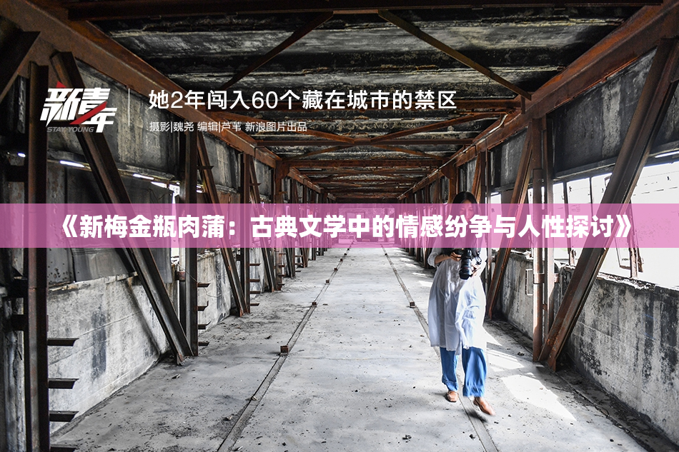 《新梅金瓶肉蒲：古典文学中的情感纷争与人性探讨》