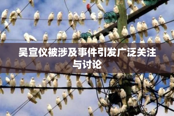 吴宣仪被涉及事件引发广泛关注与讨论