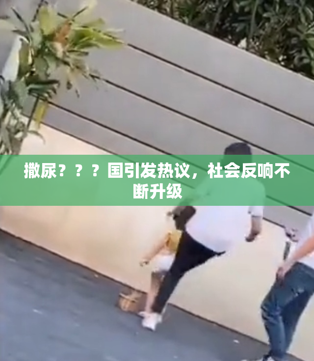 撒尿？？？国引发热议，社会反响不断升级