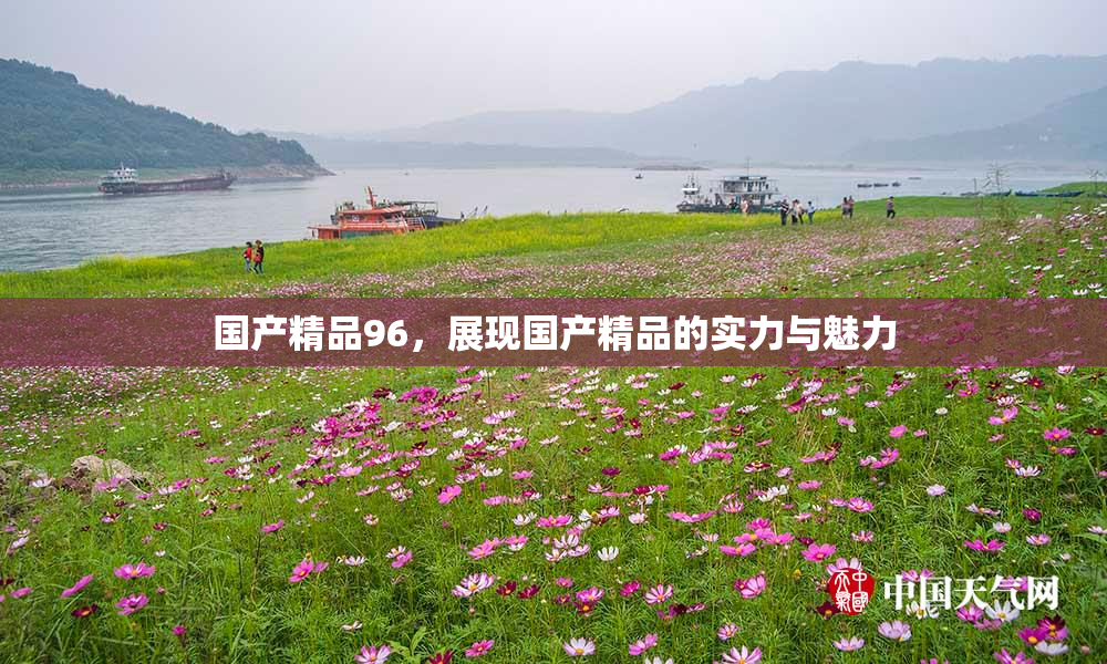 国产精品96，展现国产精品的实力与魅力