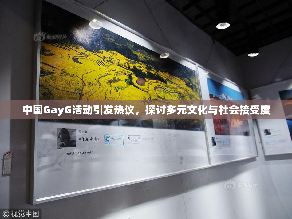 中国GayG活动引发热议，探讨多元文化与社会接受度