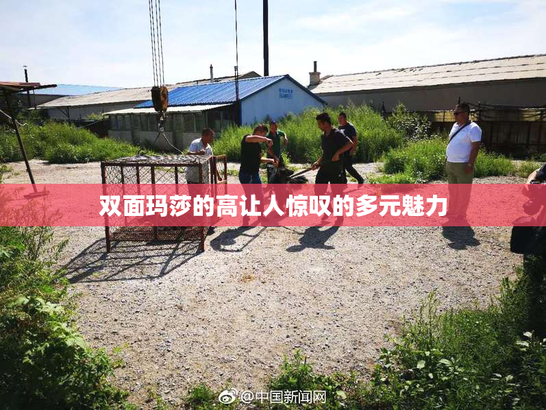 双面玛莎的高让人惊叹的多元魅力