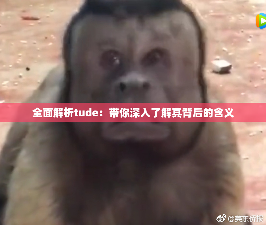 全面解析tude：带你深入了解其背后的含义