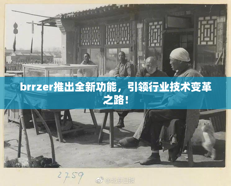 brrzer推出全新功能，引领行业技术变革之路！
