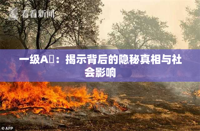 一级A婬：揭示背后的隐秘真相与社会影响