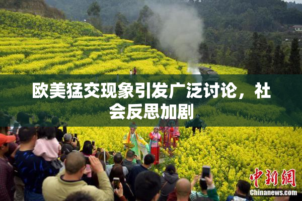 欧美猛交现象引发广泛讨论，社会反思加剧