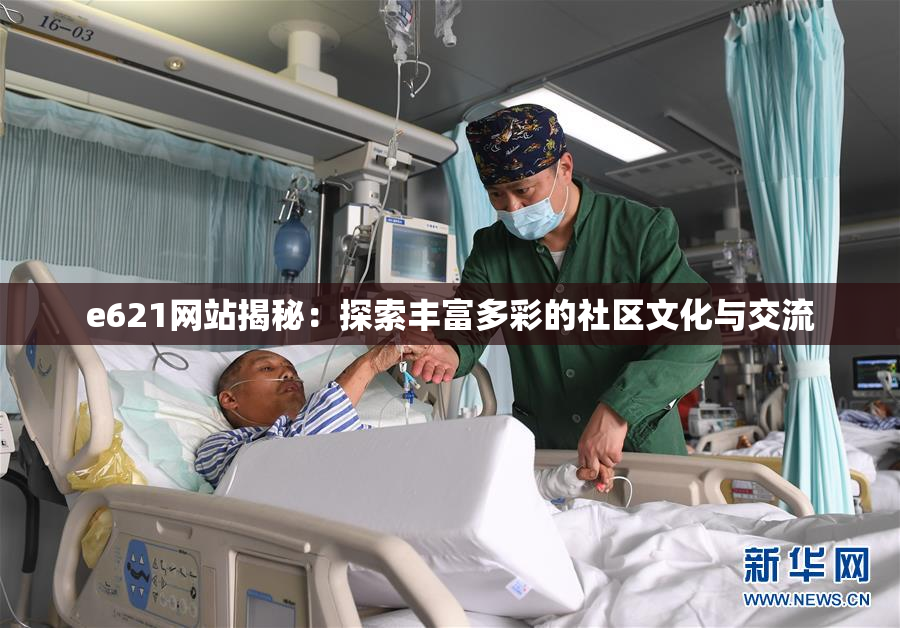 e621网站揭秘：探索丰富多彩的社区文化与交流