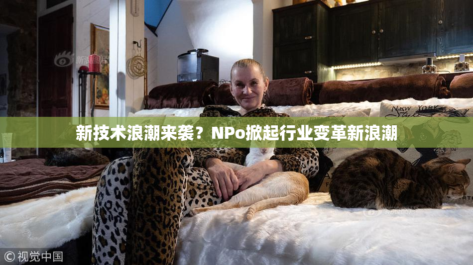 新技术浪潮来袭？ΝPo掀起行业变革新浪潮