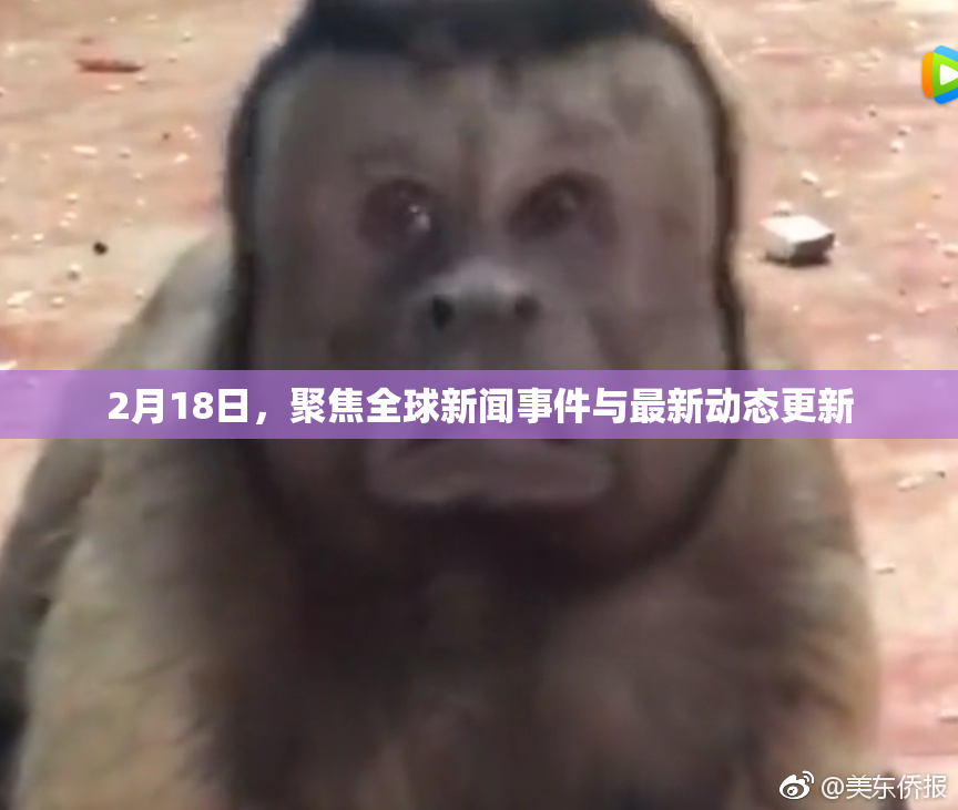2月18日，聚焦全球新闻事件与最新动态更新