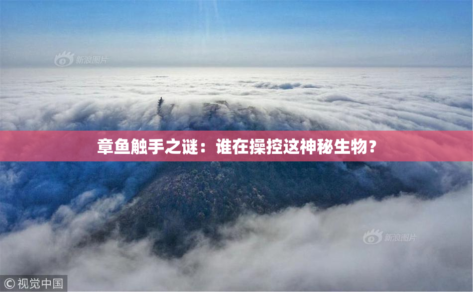 章鱼触手之谜：谁在操控这神秘生物？